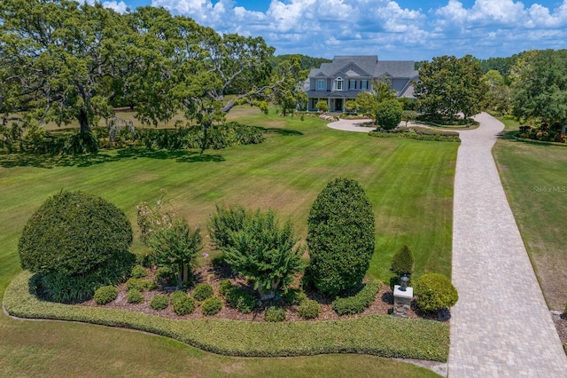 17129 Breeders Cup Dr, Odessa, FL 33556 - view from above of property