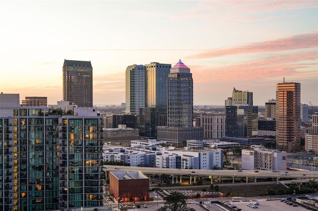 449 S 12th St Unit 2205, Tampa, FL 33602 - view of city