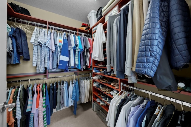 449 S 12th St Unit 2205, Tampa, FL 33602 - walk in closet featuring carpet floors