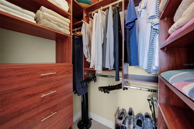 449 S 12th St Unit 2205, Tampa, FL 33602 - view of spacious closet