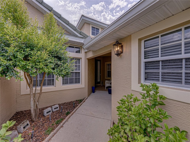13209 Palmilla Cir, Dade City, FL 33525 - photo 9