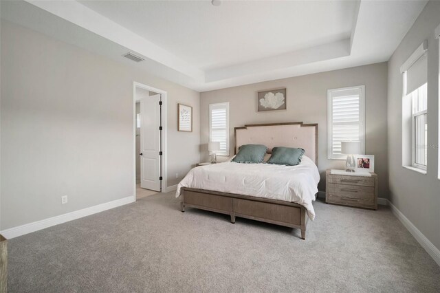 923 Whimbrel Run, Bradenton, FL 34212 - bedroom with a raised ceiling, carpet floors, and baseboards