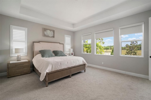 923 Whimbrel Run, Bradenton, FL 34212 - bedroom featuring baseboards, light colored carpet, and a raised ceiling