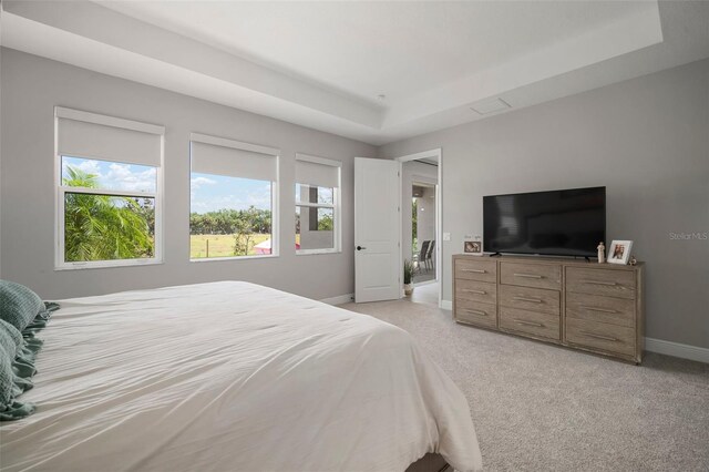 923 Whimbrel Run, Bradenton, FL 34212 - bedroom with multiple windows, baseboards, a raised ceiling, and light colored carpet