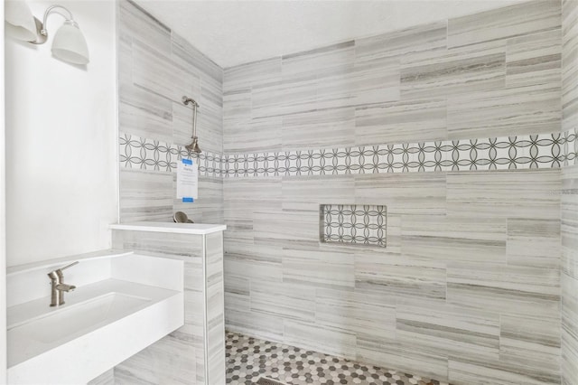 1810 Maryland Ave NE, Saint Petersburg, FL 33703 - full bath with walk in shower