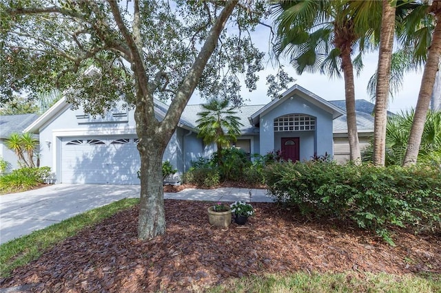 9220 Dayflower Dr, Tampa, FL 33647 - view of front of house featuring stucco siding and driveway