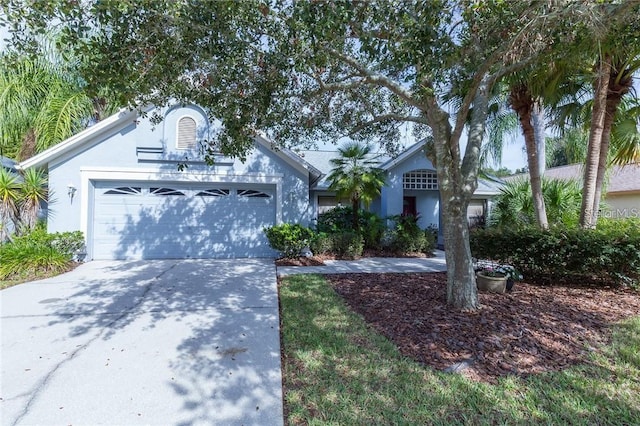 9220 Dayflower Dr, Tampa, FL 33647 - single story home with stucco siding, driveway, and a garage