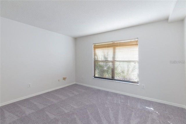 9220 Dayflower Dr, Tampa, FL 33647 - carpeted spare room with baseboards