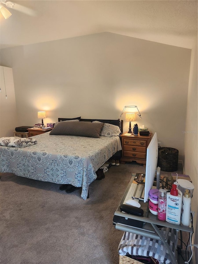 9220 Dayflower Dr, Tampa, FL 33647 - carpeted bedroom featuring vaulted ceiling
