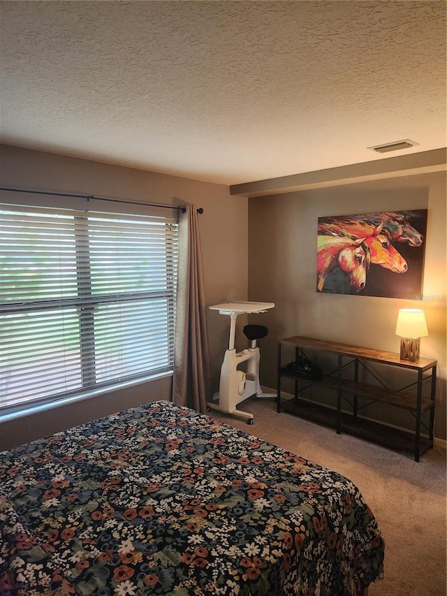 9220 Dayflower Dr, Tampa, FL 33647 - bedroom featuring carpet floors, a textured ceiling, and baseboards