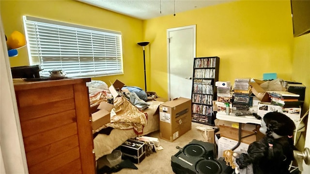 7012 Pin Cherry Ln, Port Richey, FL 34668 - home office featuring carpet flooring