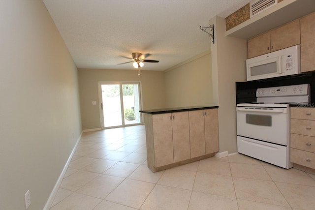 4513 S Oak Dr Unit Q31B, Tampa, FL 33611 - photo 2
