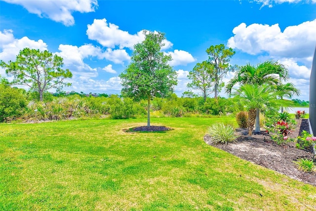 16707 Verona Pl, Bradenton, FL 34202 - view of grassy yard