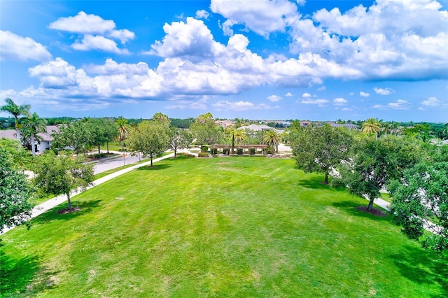 16707 Verona Pl, Bradenton, FL 34202 - view of grassy yard
