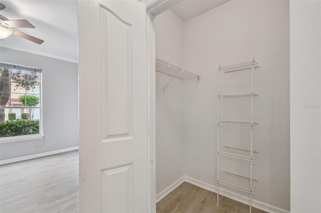 walk in closet with wood finished floors and a ceiling fan