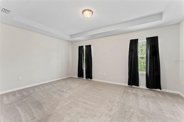 13233 Canopy Creek Dr, Tampa, FL 33625 - spare room featuring a tray ceiling, carpet floors, and baseboards