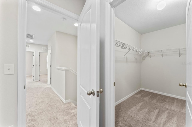 13233 Canopy Creek Dr, Tampa, FL 33625 - spacious closet with carpet flooring