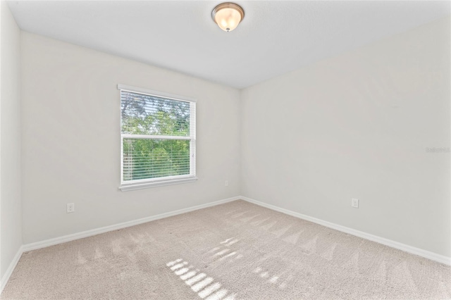 13233 Canopy Creek Dr, Tampa, FL 33625 - unfurnished room with carpet flooring and baseboards