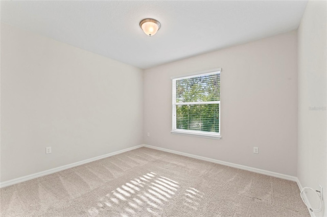 13233 Canopy Creek Dr, Tampa, FL 33625 - spare room featuring carpet flooring and baseboards