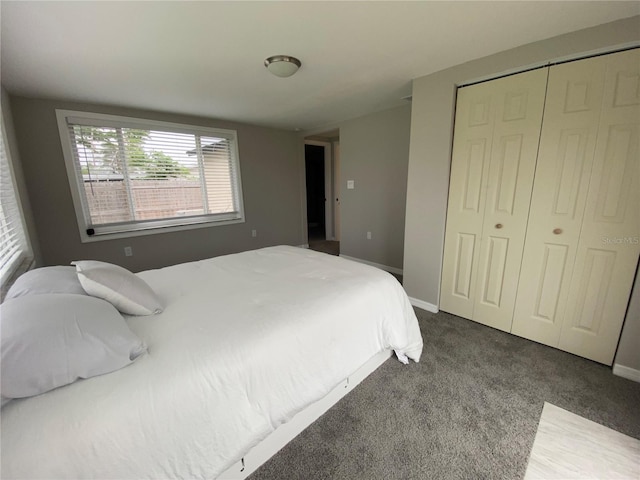 12907 College Hill Dr, Hudson, FL 34667 - bedroom with carpet flooring, a closet, and baseboards