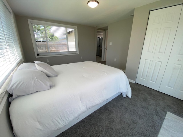 12907 College Hill Dr, Hudson, FL 34667 - carpeted bedroom featuring a closet