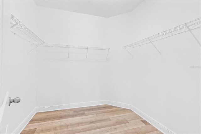 spacious closet featuring light wood-type flooring