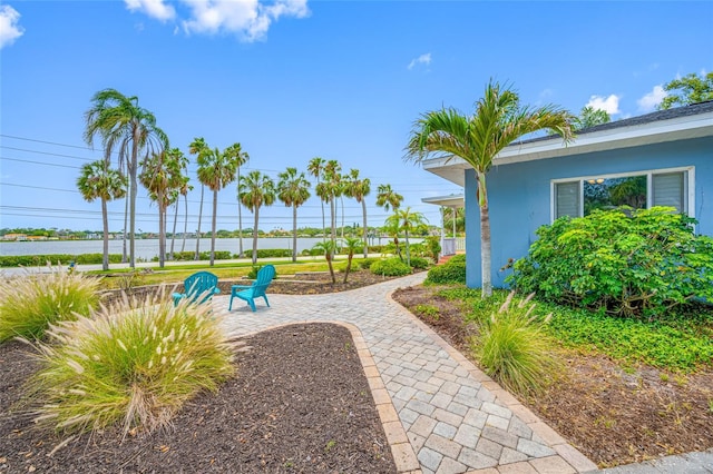 401 Whitcomb Blvd, Tarpon Springs, FL 34689 - view of yard featuring a patio area