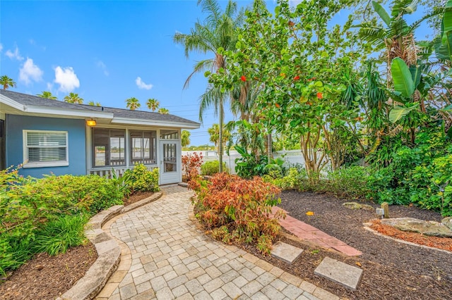 401 Whitcomb Blvd, Tarpon Springs, FL 34689 - view of exterior entry featuring fence and stucco siding