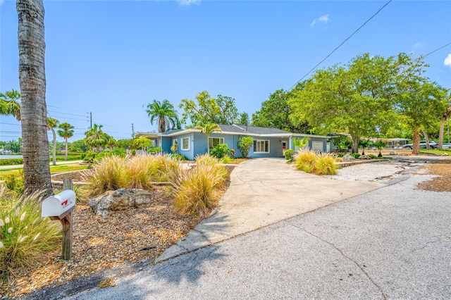 401 Whitcomb Blvd, Tarpon Springs, FL 34689 - ranch-style house featuring driveway