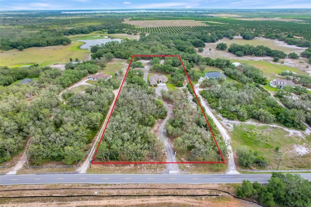 3979 Mammoth Grove Rd, Lake Wales, FL 33898 - photo 58