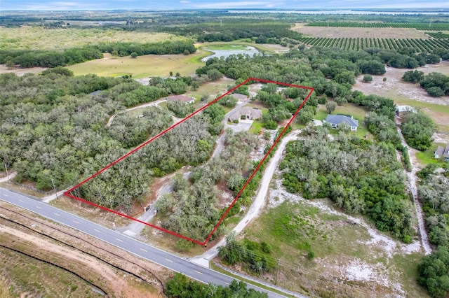 3979 Mammoth Grove Rd, Lake Wales, FL 33898 - photo 9