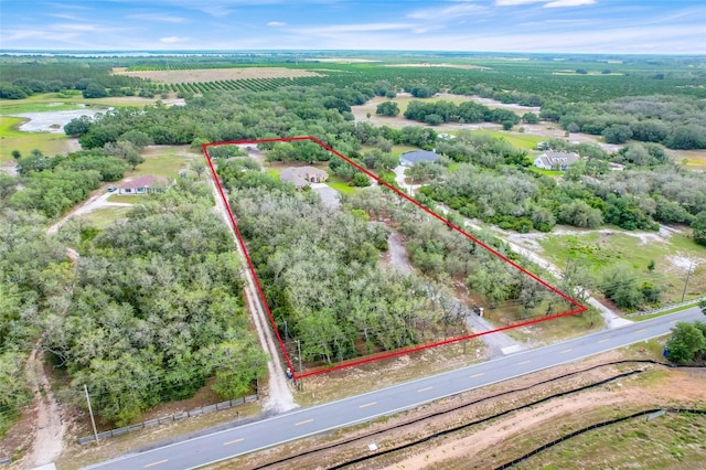 3979 Mammoth Grove Rd, Lake Wales, FL 33898 - photo 10