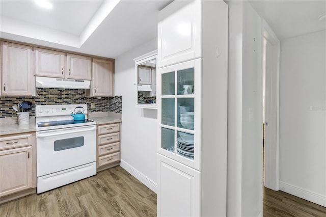 7801 11th St N Unit 104, Saint Petersburg, FL 33702 - kitchen featuring electric stove, under cabinet range hood, light wood finished floors, and light countertops