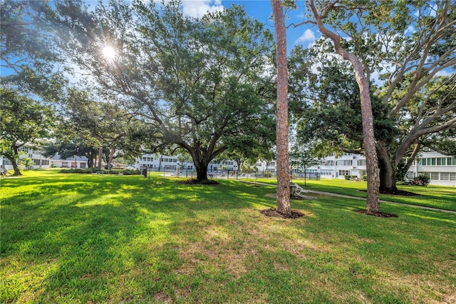 7801 11th St N Unit 104, Saint Petersburg, FL 33702 - view of grassy yard