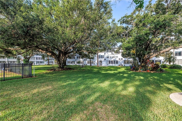 7801 11th St N Unit 104, Saint Petersburg, FL 33702 - view of yard