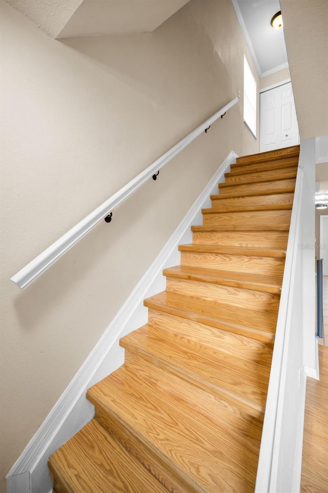 1864 Clearbrooke Dr, Clearwater, FL 33760 - stairway with crown molding