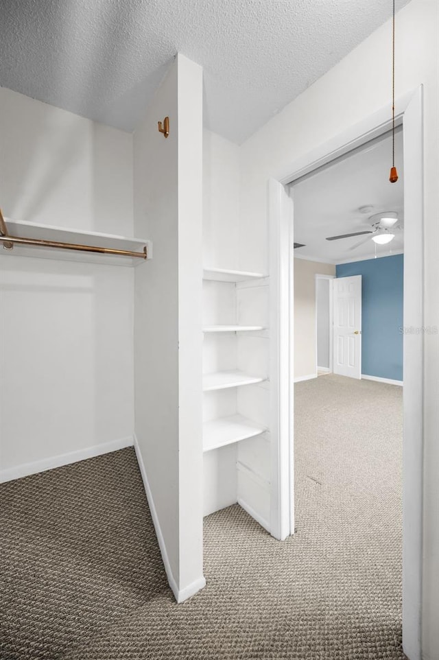 1864 Clearbrooke Dr, Clearwater, FL 33760 - walk in closet with carpet and ceiling fan