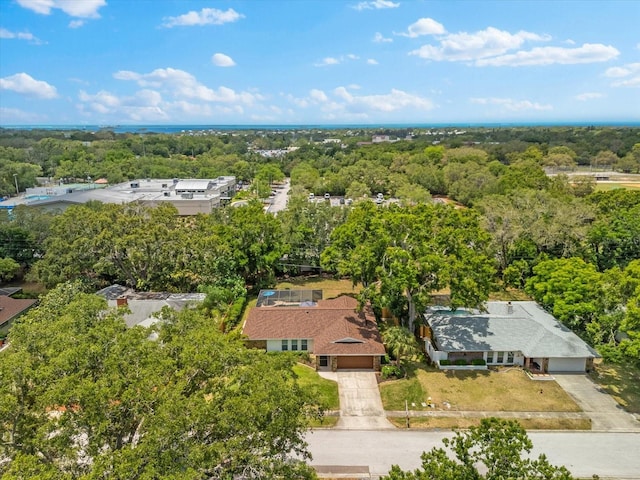 535 Sandy Hook, Palm Harbor, FL 34683 - aerial view of a heavily wooded area