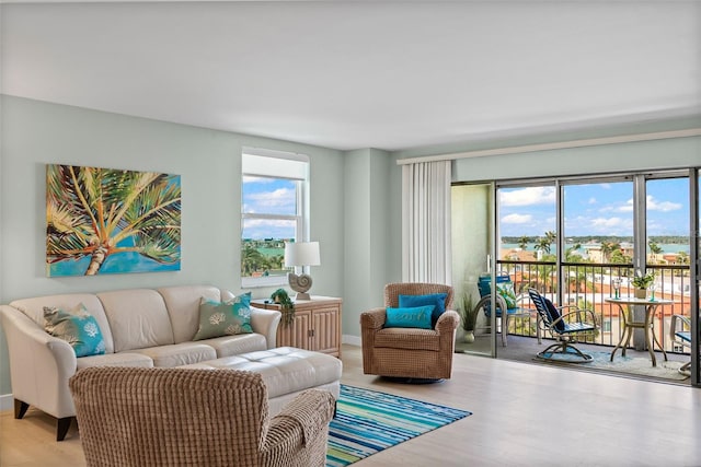 living area featuring plenty of natural light, wood finished floors, and baseboards
