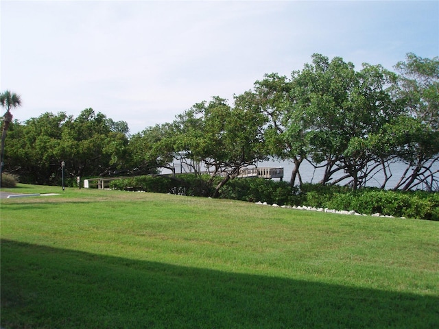 2980 Haines Bayshore Rd Unit 124, Clearwater, FL 33760 - surrounding community featuring a lawn
