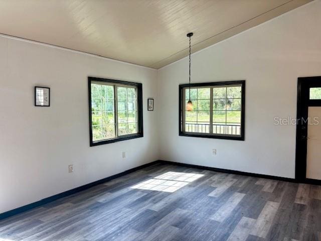 6906 W Barbara Ann Ln, Homosassa, FL 34446 - spare room with wood finished floors, lofted ceiling, and baseboards