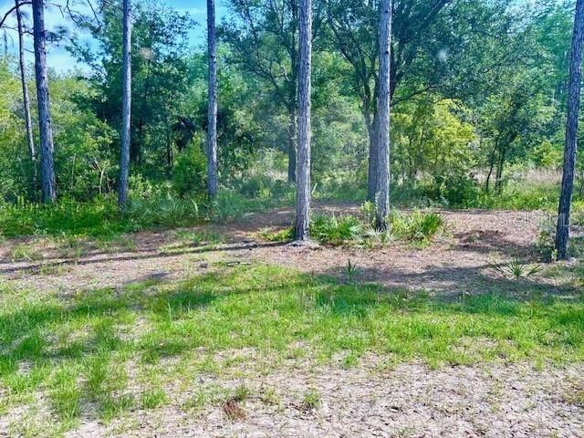 6906 W Barbara Ann Ln, Homosassa, FL 34446 - view of undeveloped land