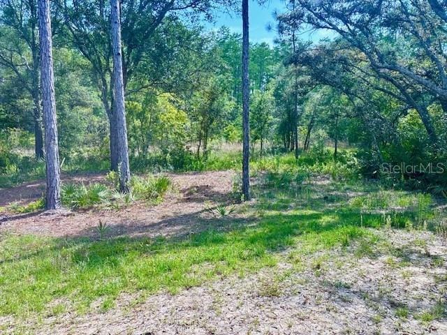 6906 W Barbara Ann Ln, Homosassa, FL 34446 - view of tree filled area