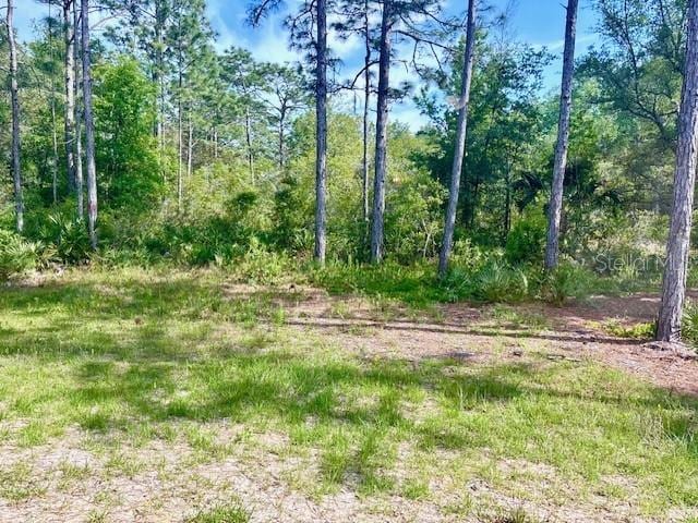 6906 W Barbara Ann Ln, Homosassa, FL 34446 - view of local wilderness