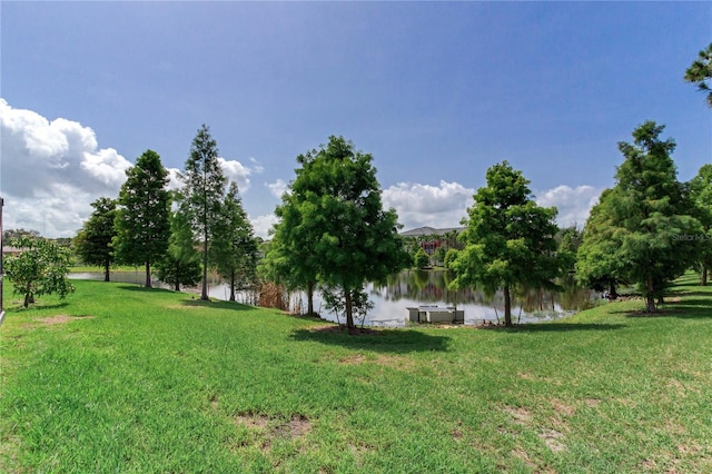 11320 Lazy Hickory Ln, Tampa, FL 33635 - photo 76