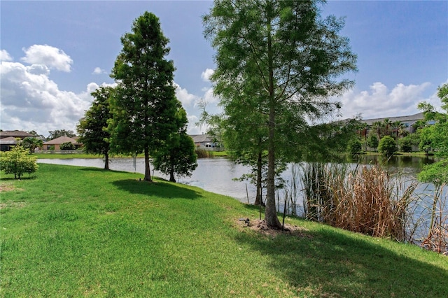 11320 Lazy Hickory Ln, Tampa, FL 33635 - photo 77