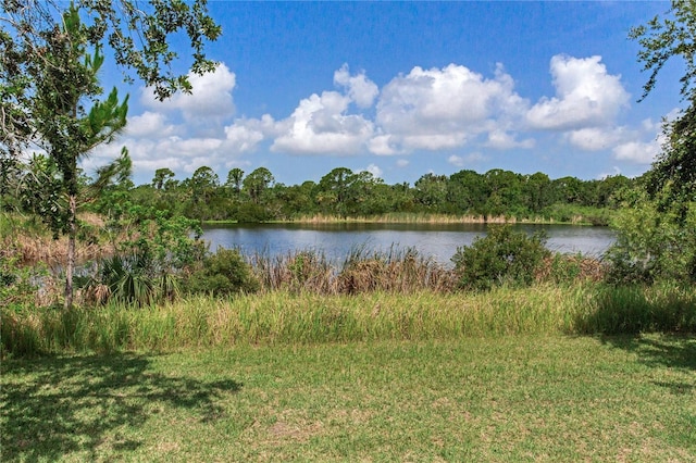 11320 Lazy Hickory Ln, Tampa, FL 33635 - photo 79
