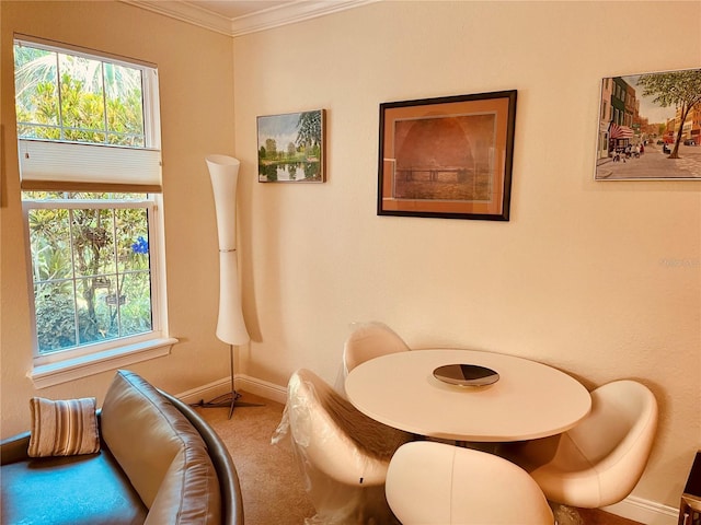 184 Banyan Bay Dr, Saint Petersburg, FL 33705 - carpeted dining room featuring baseboards and ornamental molding