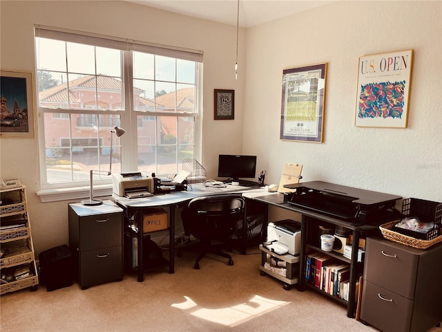 184 Banyan Bay Dr, Saint Petersburg, FL 33705 - office with light carpet