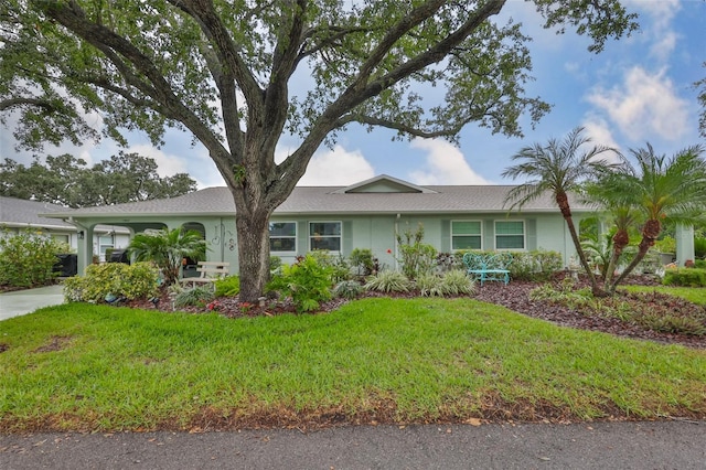 ranch-style home featuring a front lawn